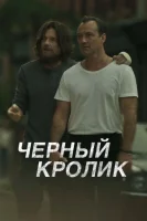 Чёрный кролик